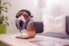 Beyerdynamic DT 880 Edition 32Ohm vezetékes fejhallgató, nyitott, 96dB, ezüst-fekete (BD 483931)