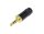 Rean NYS231BG-LL