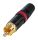 Rean NYS 373-2