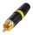 Rean NYS 373-4