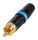 Rean NYS 373-6