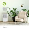 Nedis DEHU10WT páramentesítő, 10 liter/nap, 100 m3/h