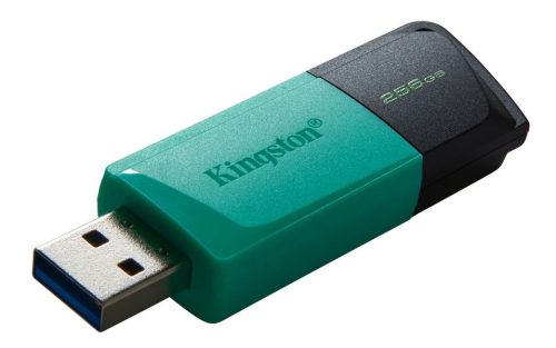 Kingston 256GB DataTraveler Exodia M USB 3.2 pendrive (DTXM/256GB)