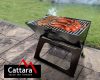 Cattara PIRAN faszéngrill 28 x 43 cm összecsukható