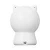 TESLA Smart Laser Dot Cats - lézer játék macskáknak