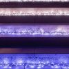 Twinkly Cluster 400 IP44, okos fényfűzér, 400 LED, 6 méter, Bluetooth, Wifi (TWC400STP-BEU)