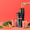 Nutribullet NBJ500 Slow Juicer gyümölcscentrifuga, 150Watt, 700ml