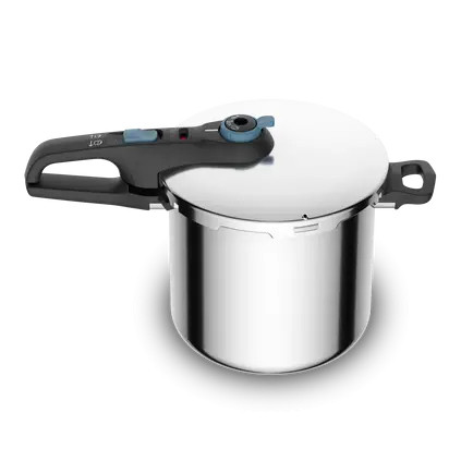Tefal P2584401 Kukta 8l Secure Trendy